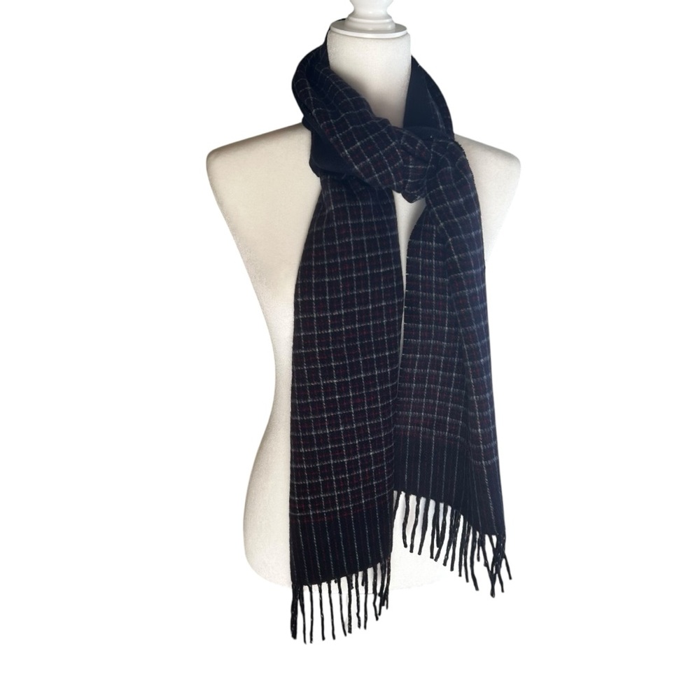J.Crew Cashmere winter long scarf unisex luxury comfy coat fringe blue red soft